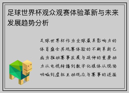 足球世界杯观众观赛体验革新与未来发展趋势分析